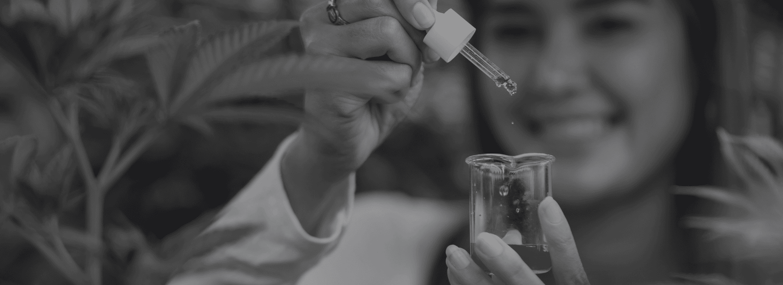 Powered by NULA - A Seal of Innovation